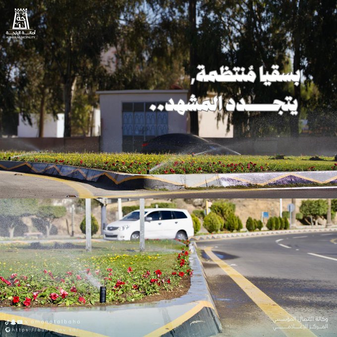 The beauty of the city begins with its details 🌼